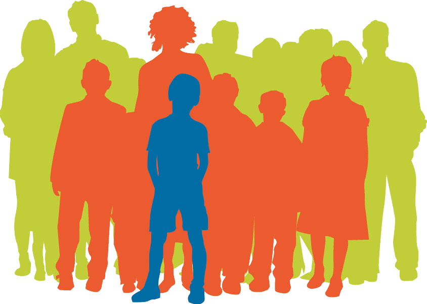 Meet the Team